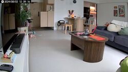 The Palette (D18), Condominium #462737361